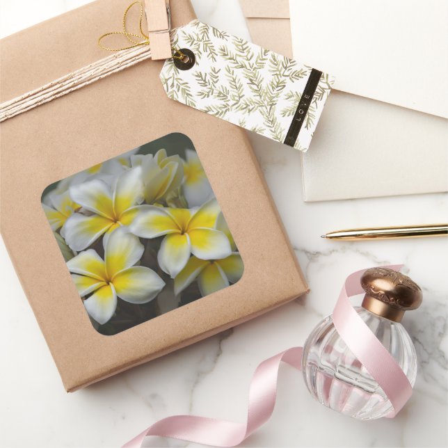 Gelbe Plumeria-Blume, Hawaii-Fotografie Quadratischer Aufkleber (Schenken)