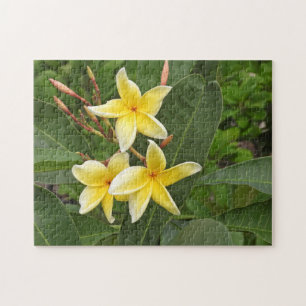 Gelbe Plumeria-Tropenblumen-Fotografie-Puzzle