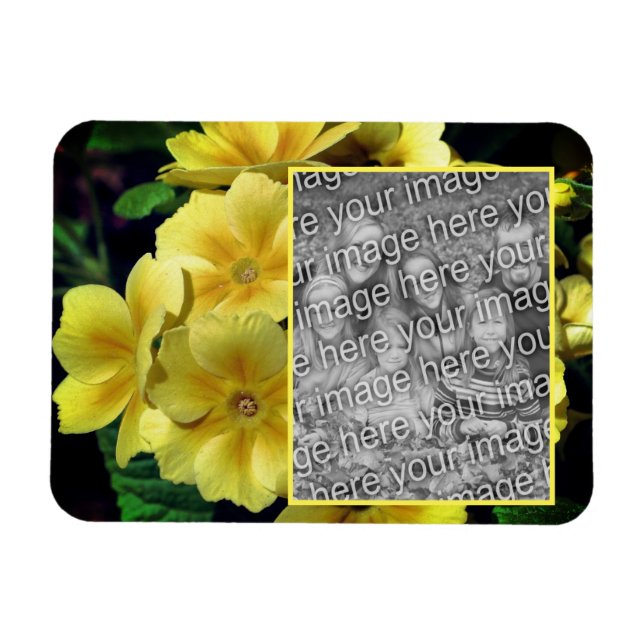 Gelbe Primrose-Blume kreieren Ihr eigenes Foto Magnet (Horizontal)