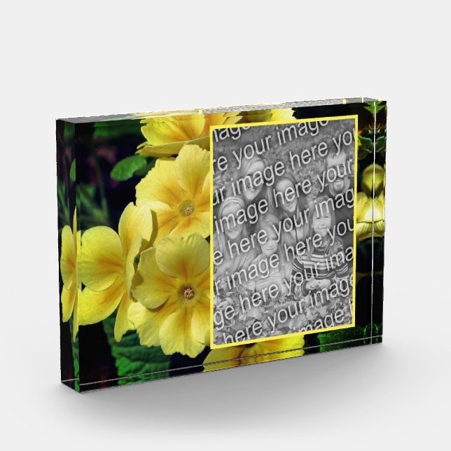 Gelbe Primrose-Blume kreieren Ihre eigene Fotoblock (Links)