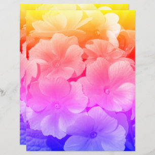 Gelbe Primrose Frühlingsblumen Nah