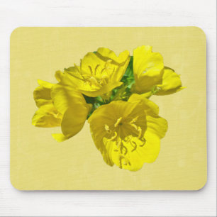 Gelbe Primrosen - Sundrops Mousepad