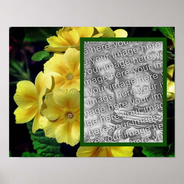 Gelbe Primrusse Blume Ihr Foto hinzufügen Poster (Vorne)