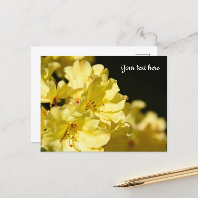 Gelbe Rhododendron Postkarte (Vorderseite/Rückseite Beispiel)