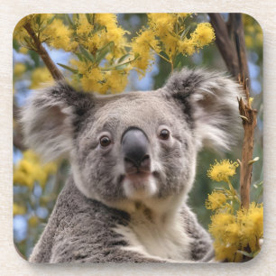 Gelbe Rinder und Koala-Bär, Getränkeuntersetzer