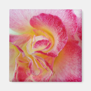 Gelbe rosa Blätter Magnet