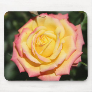 Gelbe Rosa Blume Mousepad