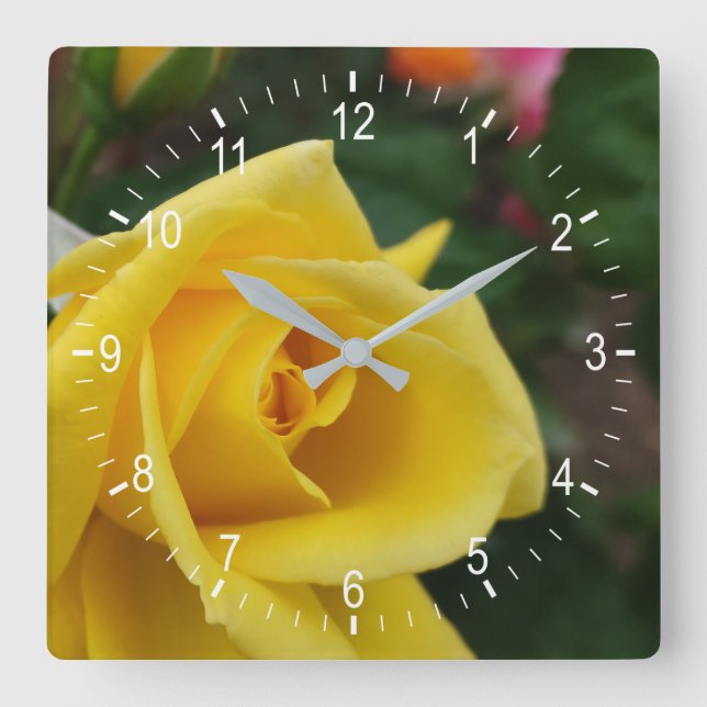 Gelbe Rosa-Blume Quadratische Wanduhr (Vorderseite)