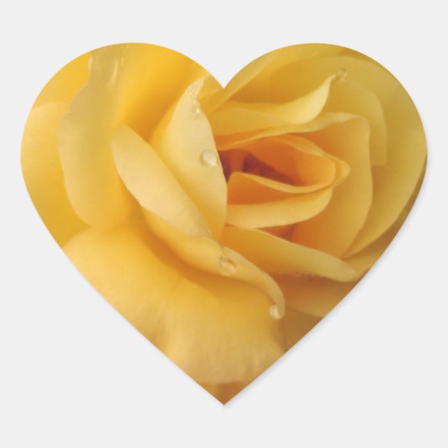 Gelbe rosa Herzwürmer Herz-Aufkleber (Vorderseite)
