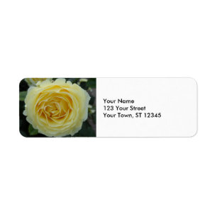 Gelbe Rose