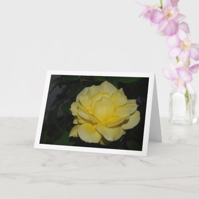 Gelbe Rose am Nachtportrait Karte (Orchidee)