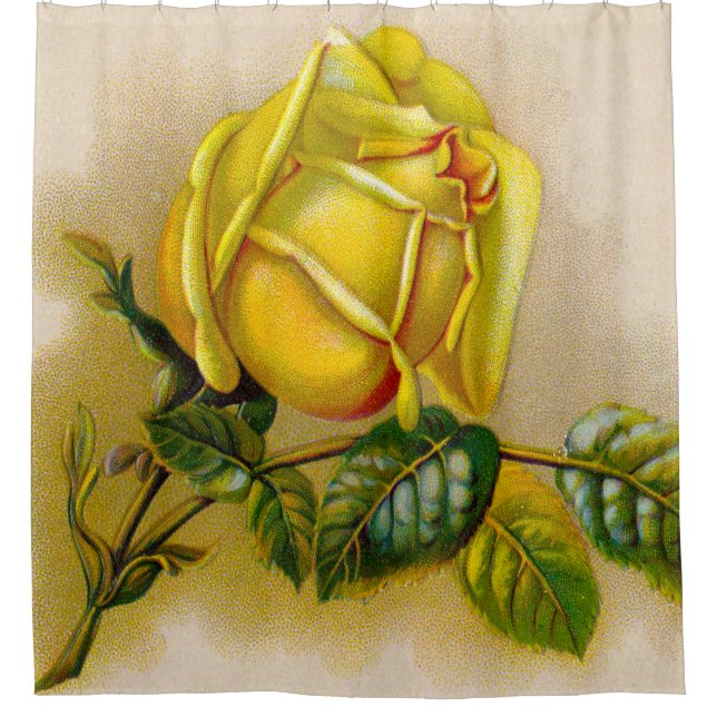 Gelbe Rose Antike Vintage Druckkunst Duschvorhang (Vorderseite)