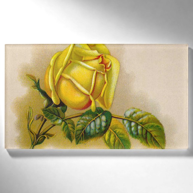 Gelbe Rose Antike Vintage Druckkunst Namenschild (Vorderseite)