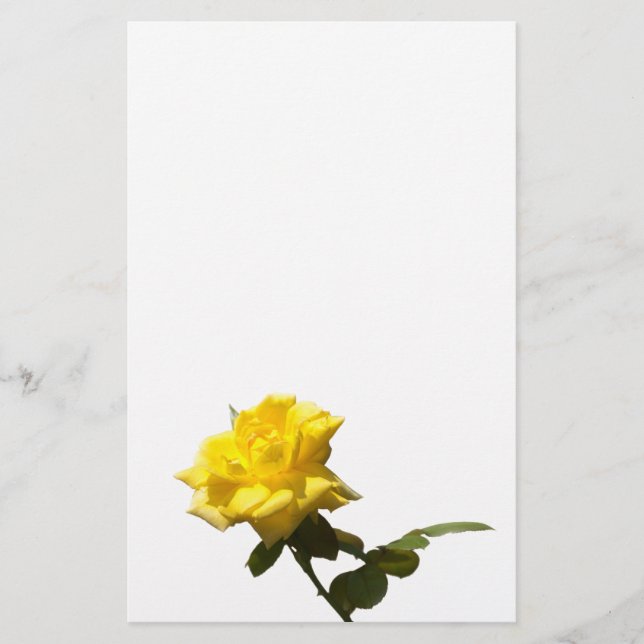 Gelbe Rose Briefpapier (Vorderseite)