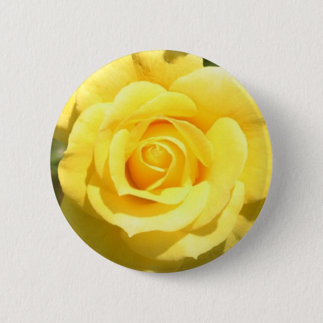 Gelbe Rose Button (Vorderseite)