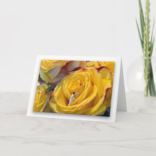Gelbe Rose der Verbindung (weißer Hintergrund) Karte (Vorderseite)