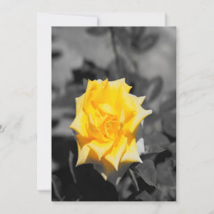 Gelbe Rose Einladung