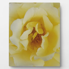 Gelbe Rose Fotoplatte