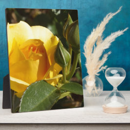 Gelbe Rose Fotoplatte