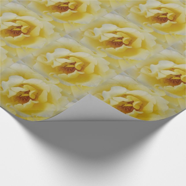 Gelbe Rose Geschenkpapier (Ecke)