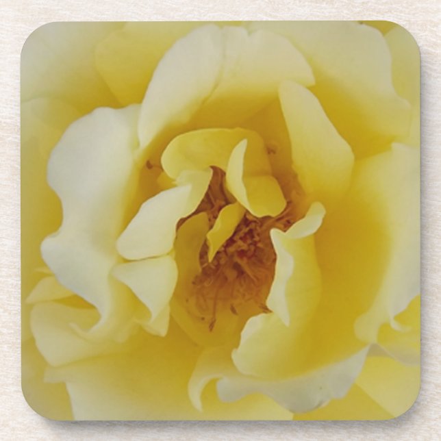 Gelbe Rose Getränkeuntersetzer (Vorderseite)