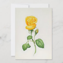 Gelbe Rose in Aquarell