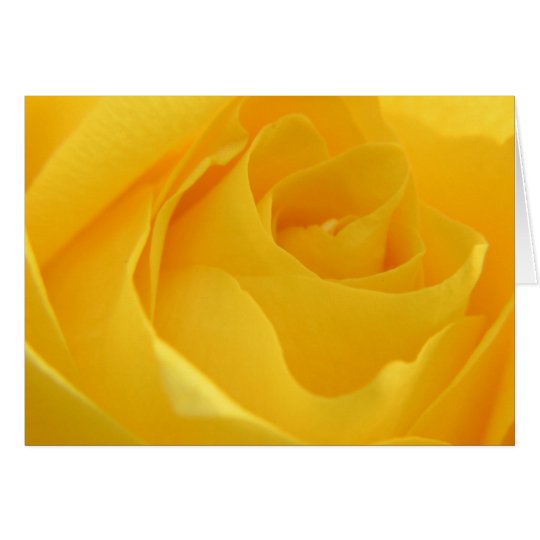 Gelbe Rose Karte