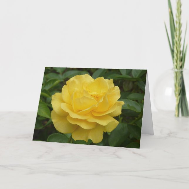 Gelbe Rose Karte (Vorderseite)