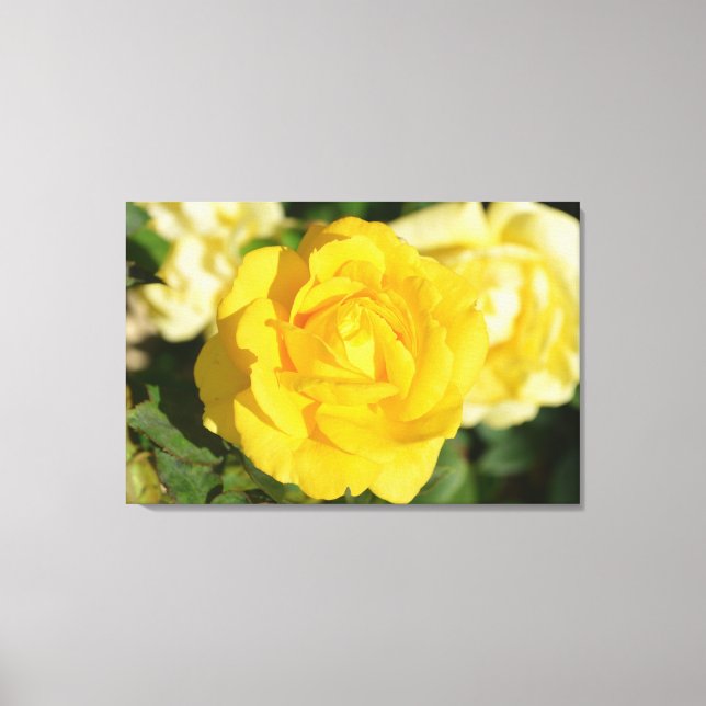 Gelbe Rose Leinwanddruck (Vorderseite)