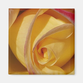 Gelbe Rose Magnet