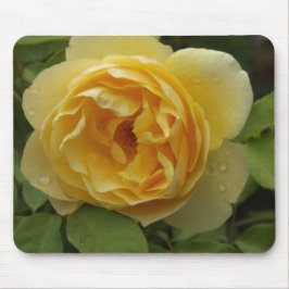 Gelbe Rose Mousepad