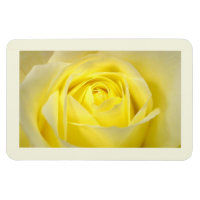 Gelbe Rose Nahaufnahme