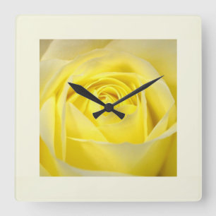 Gelbe Rose Nahaufnahme Quadratische Wanduhr