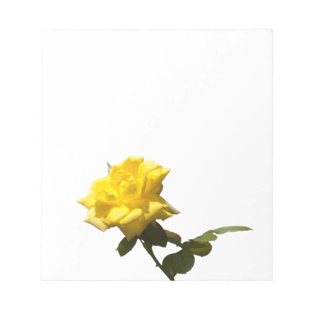 Gelbe Rose Notizblock (Vorderseite)