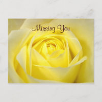 Gelbe Rose Postkarte
