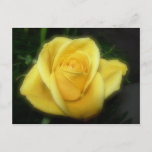 Gelbe Rose Postkarte