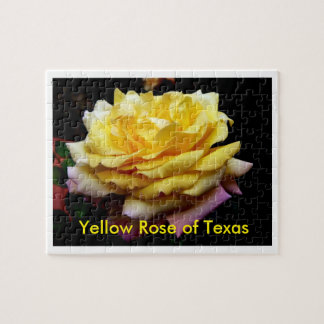 Gelbe Rose Puzzlen Texas