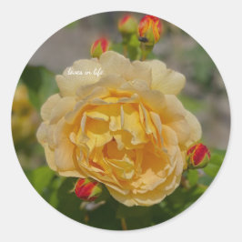 Gelbe Rose Runder Aufkleber