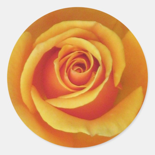 Gelbe Rose Runder Aufkleber (Vorderseite)