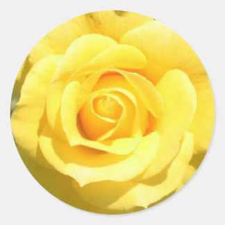 Gelbe Rose Runder Aufkleber