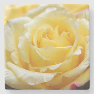 Gelbe Rose Steinuntersetzer