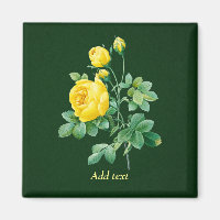 Gelbe Rose und Rosenknospe