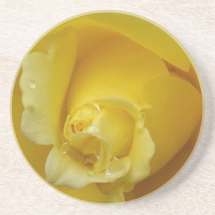 Gelbe Rose Untersetzer