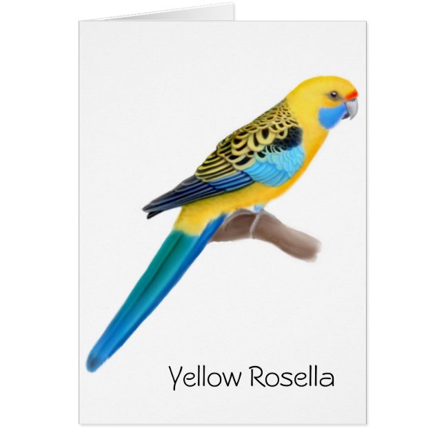 Gelbe Rosella Papageien-Karte (Vorne)