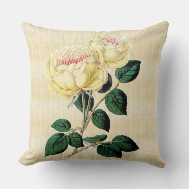 Gelbe Rosen auf botanischem Throw-Sahnekissen 2 Kissen (Vorderseite)