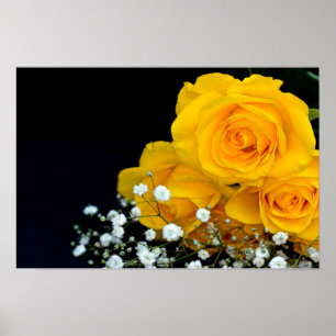 Gelbe Rosen Blume Poster