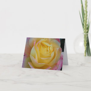 Gelbe Rosen-Fine-Art-Fotografie-Karten Dankeskarte
