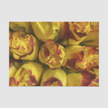 Gelbe Rosen mit roten Tipps, Blumengewebe