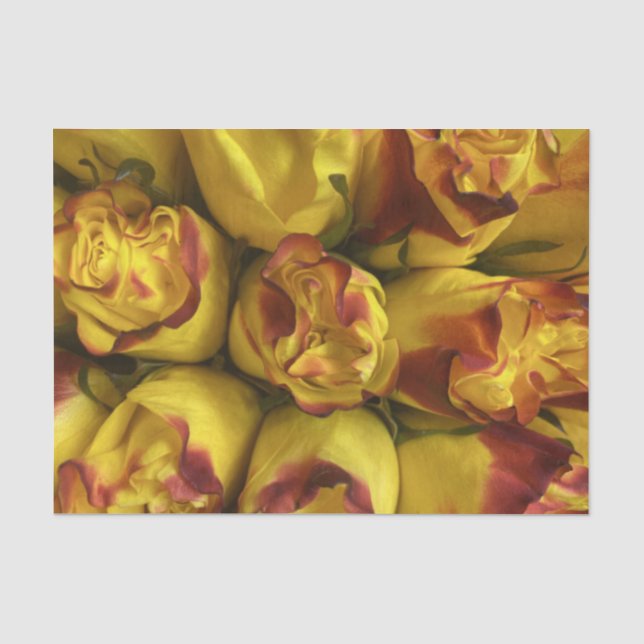 Gelbe Rosen mit roten Tipps, Blumengewebe Seidenpapier (Vorderseite)