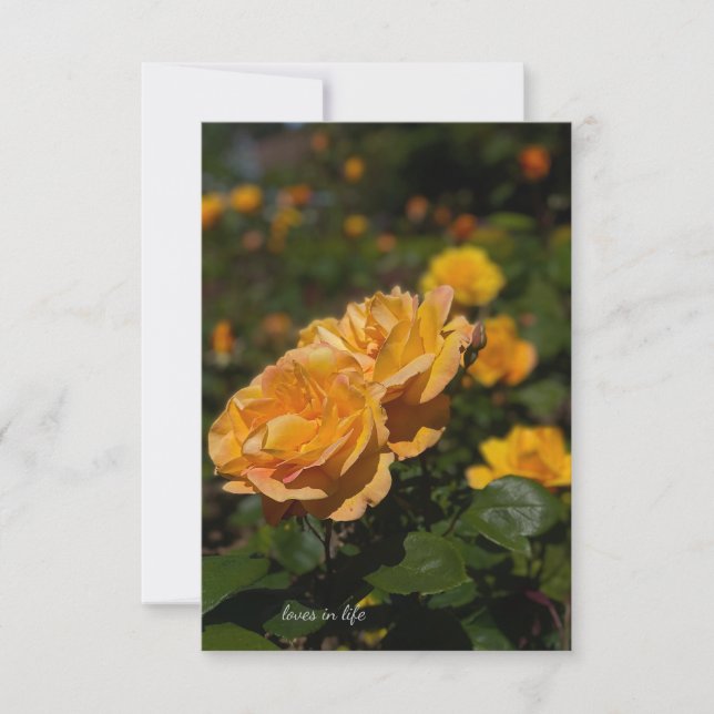 Gelbe Rosen Mitteilungskarte (Vorderseite)